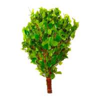 Веник березовый