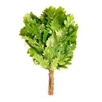 Веник дубовый