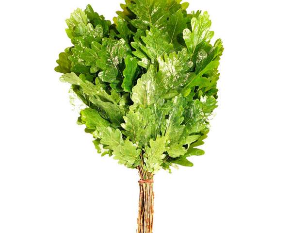 Веник дубовый